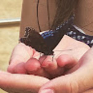 Meet your Posher, Mackie